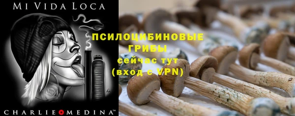 спиды Богданович