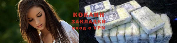 спиды Богданович