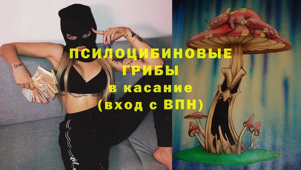 спиды Богданович