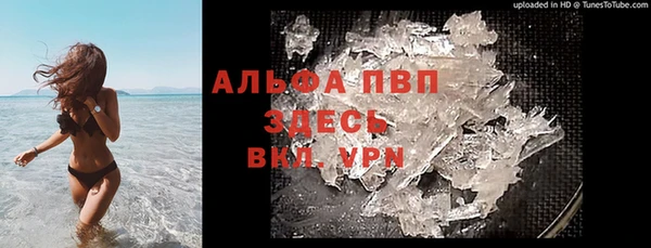 спиды Богданович